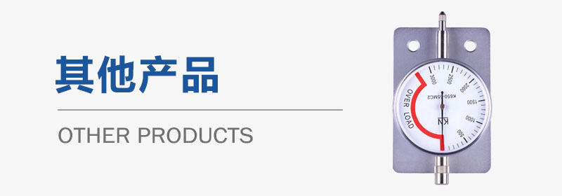其他产品